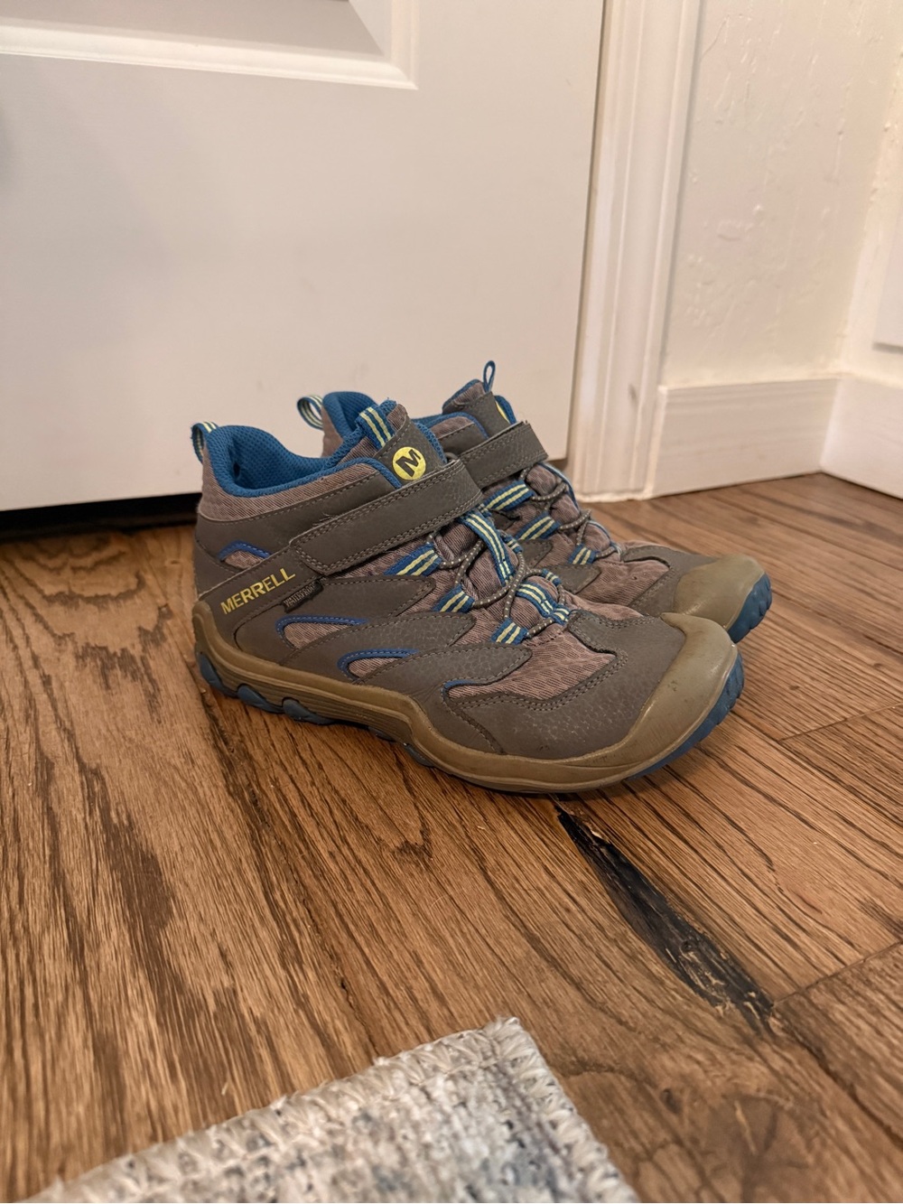 Merrell Chameleon 7 Mid Hiking Boot